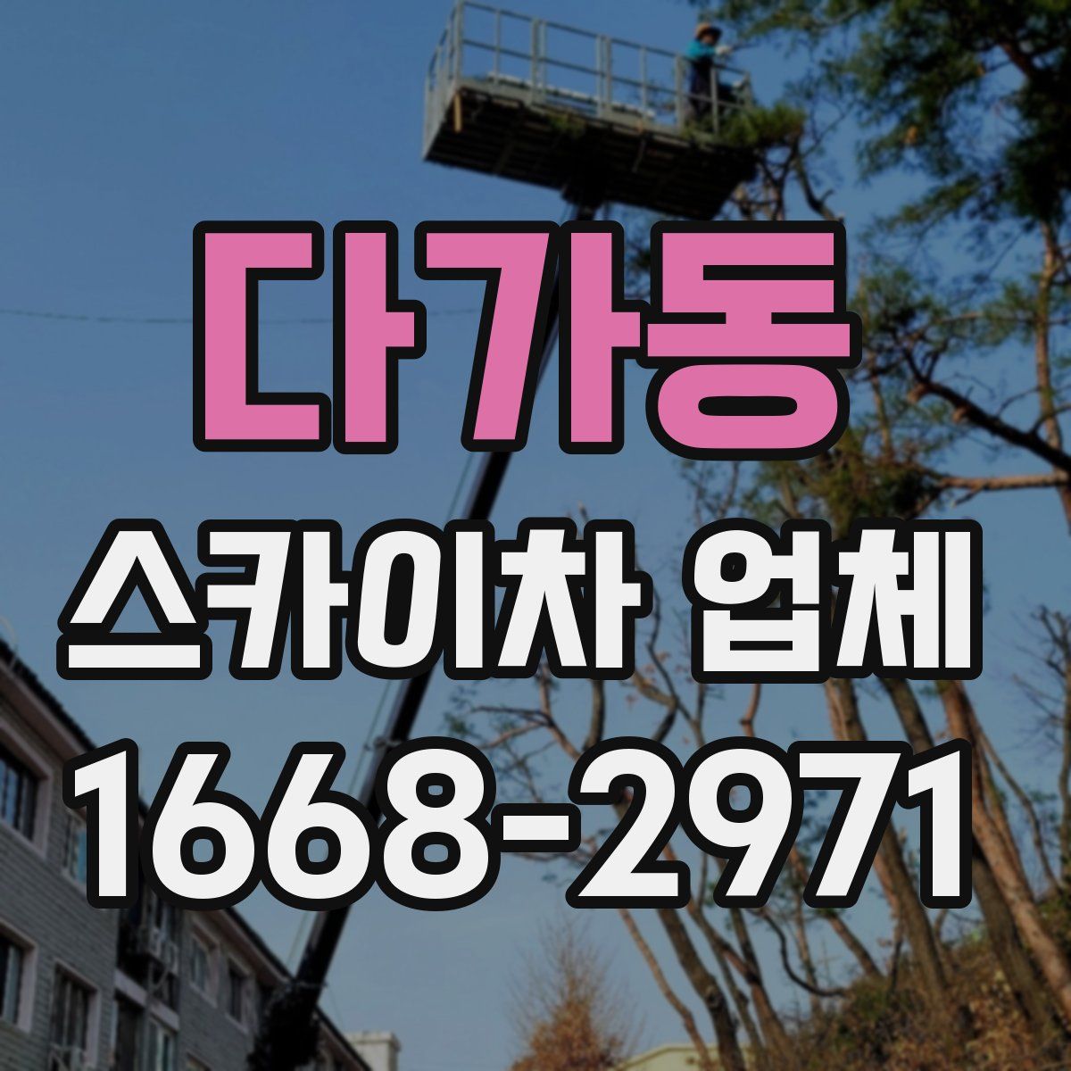 다가동 스카이차 업체