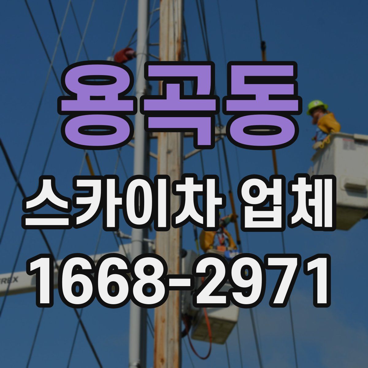 용곡동 스카이차 업체