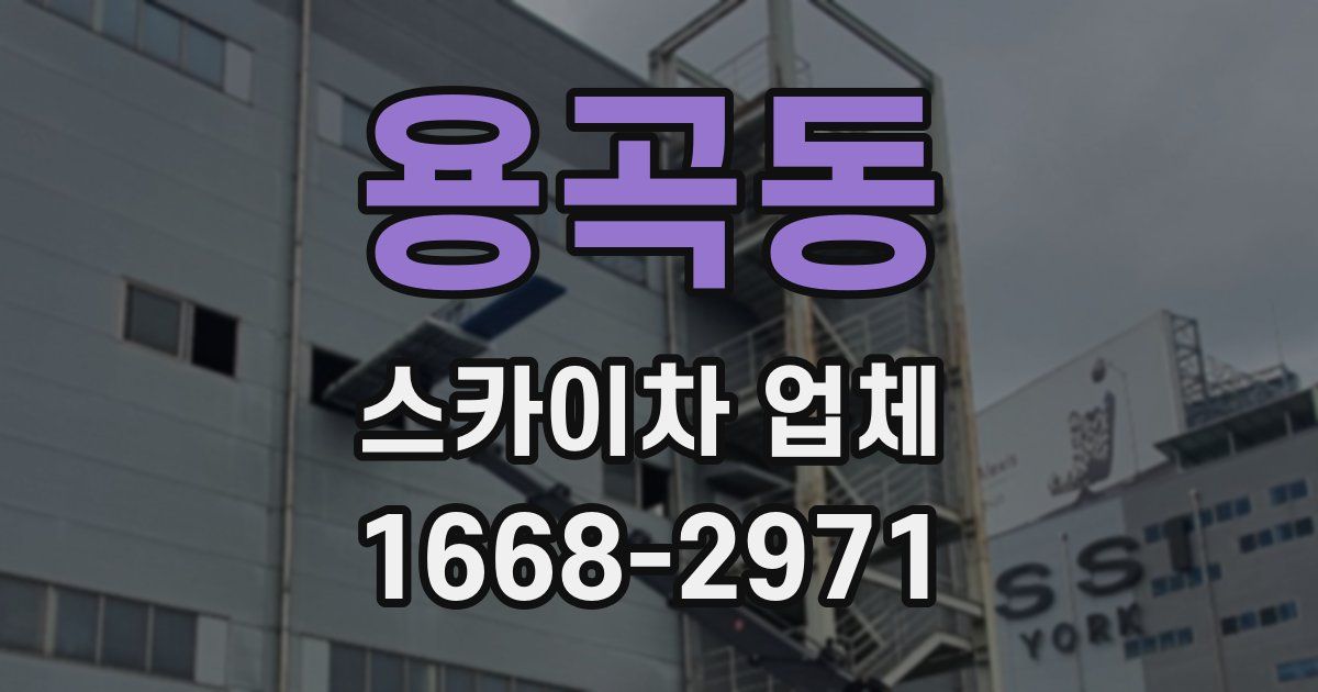 용곡동 스카이차 업체
