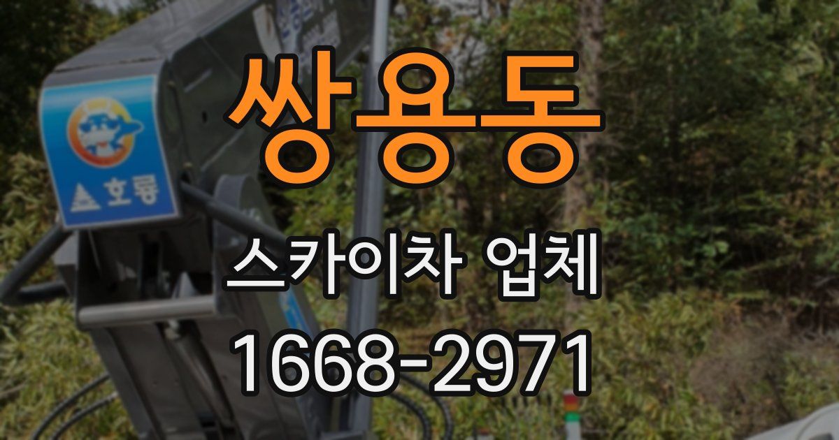 쌍용동 스카이차 업체