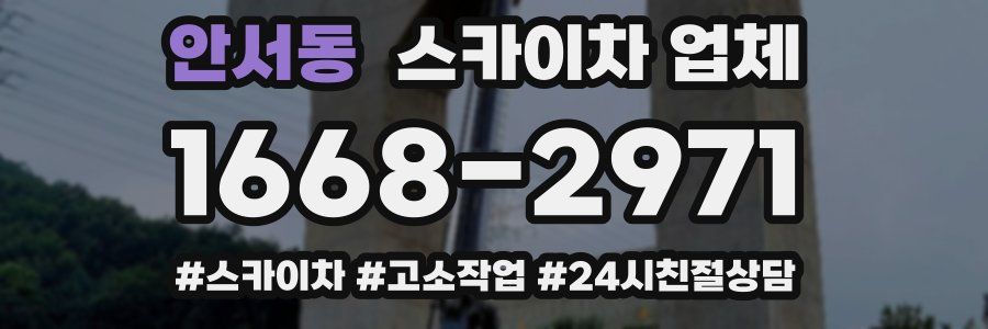 안서동 스카이차 업체