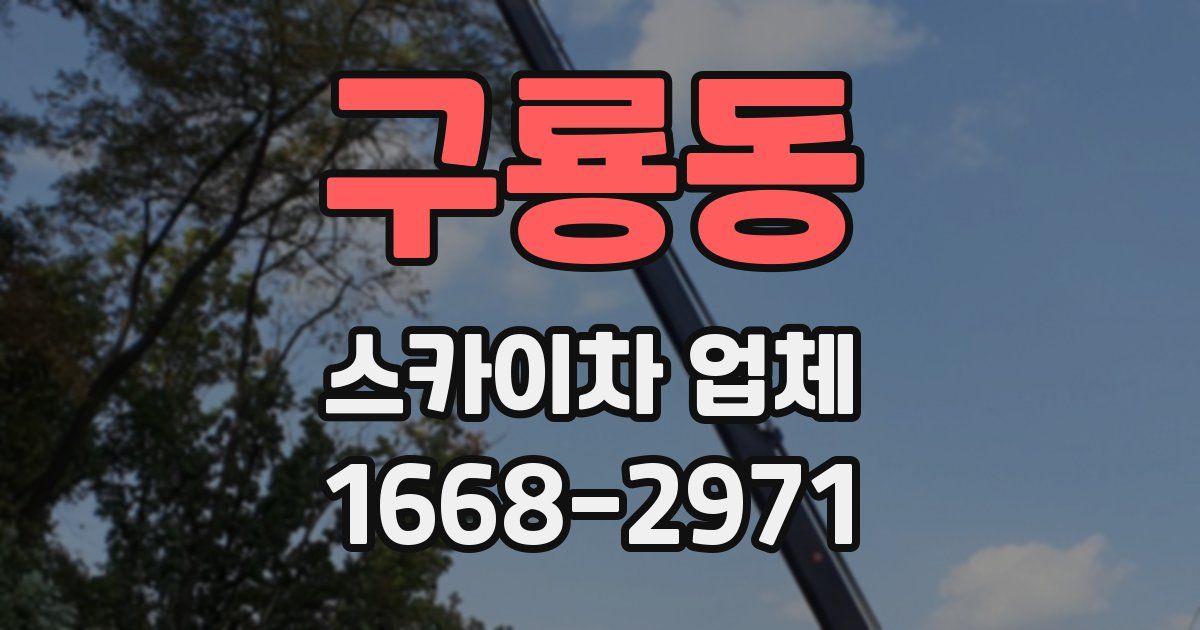 구룡동 스카이차 업체