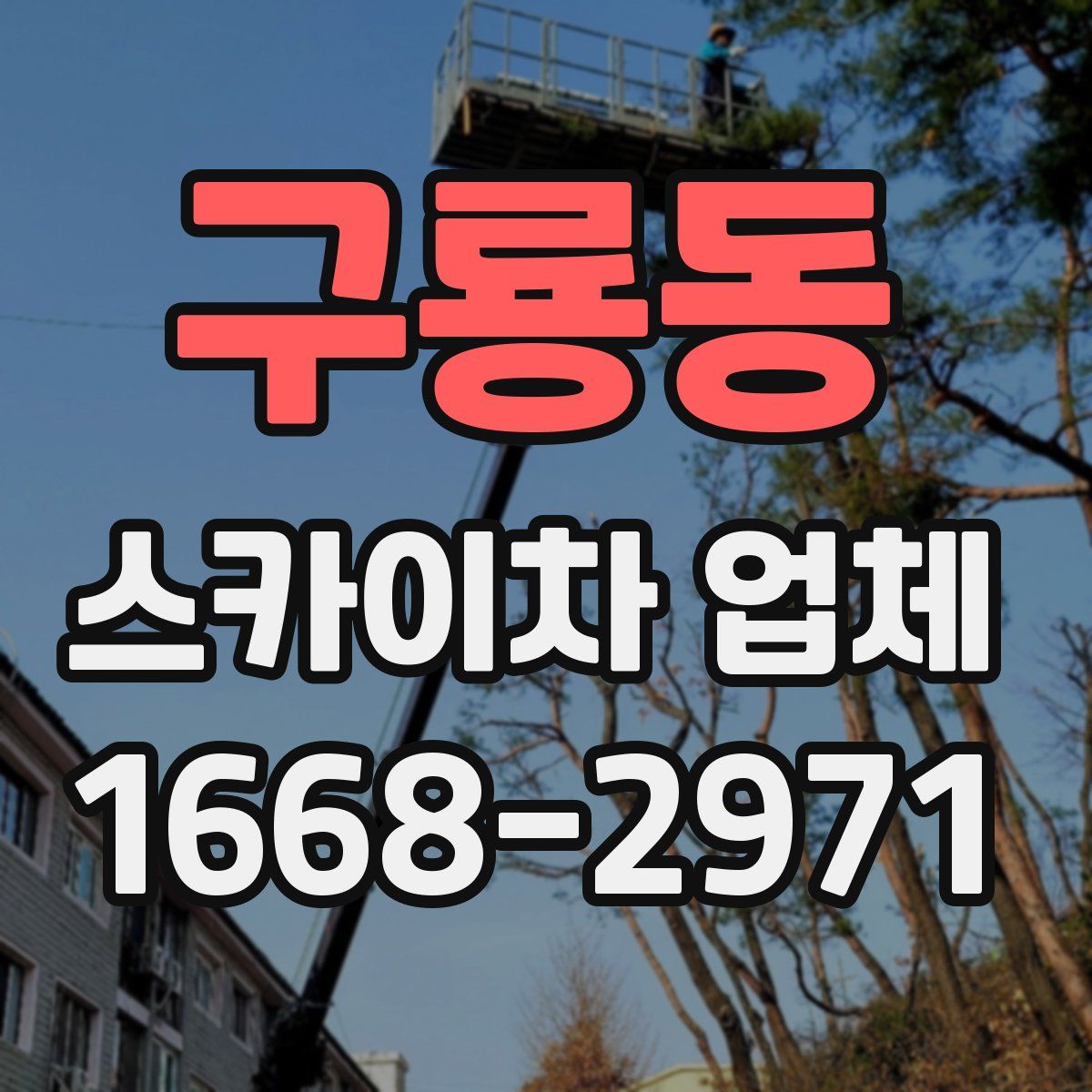 구룡동 스카이차 업체