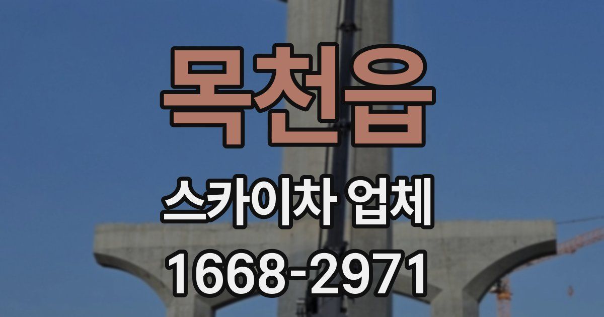 목천읍 스카이차 업체