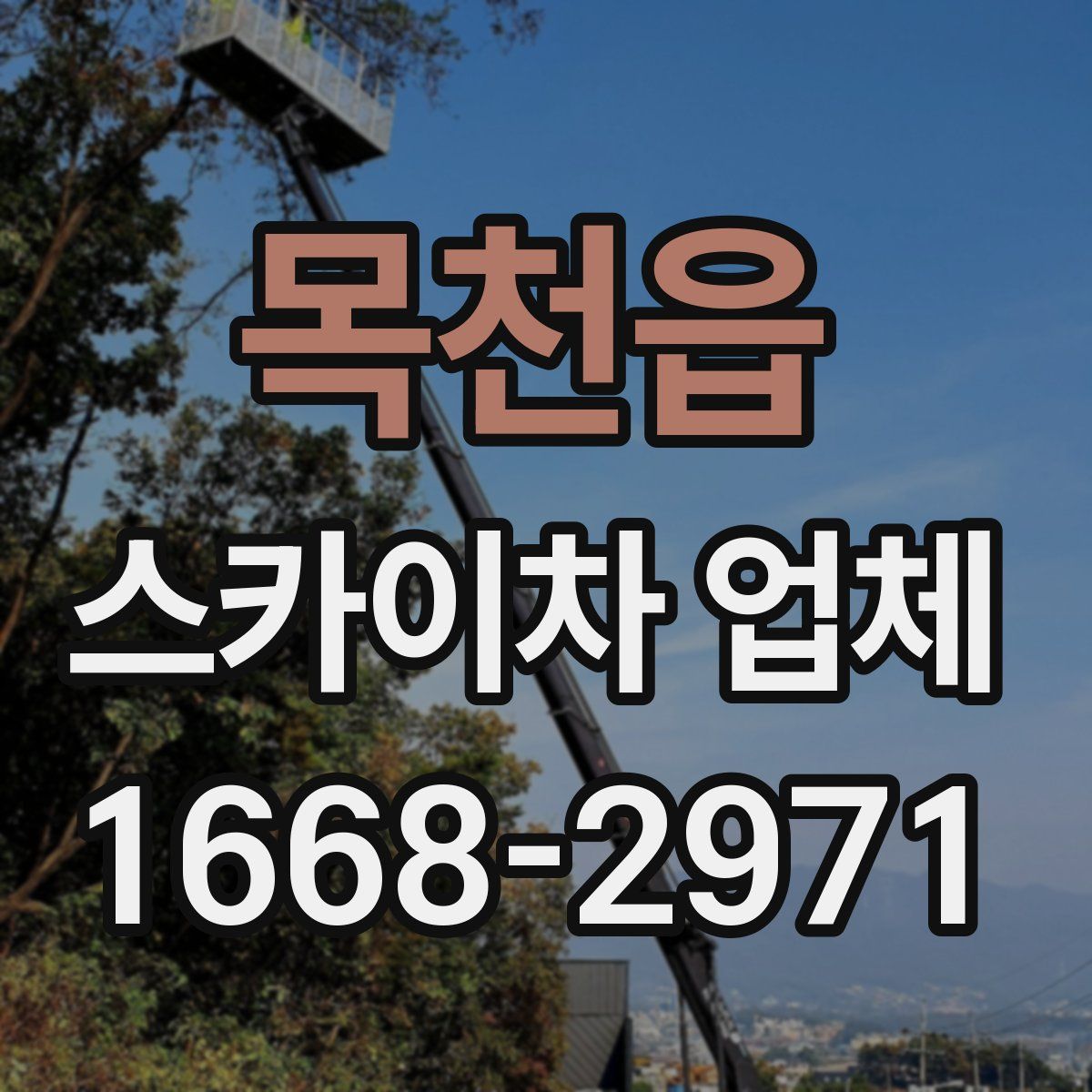 목천읍 스카이차 업체