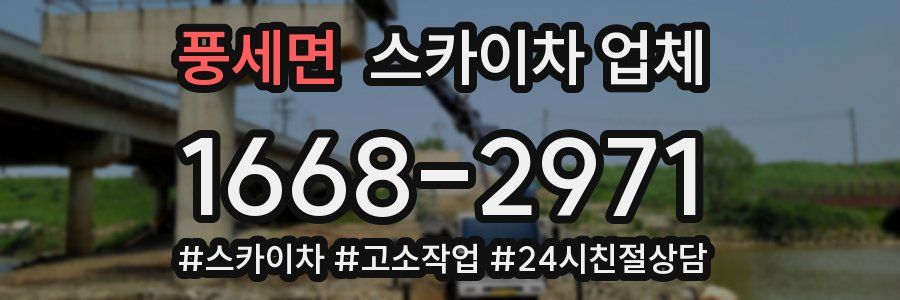 풍세면 스카이차 업체