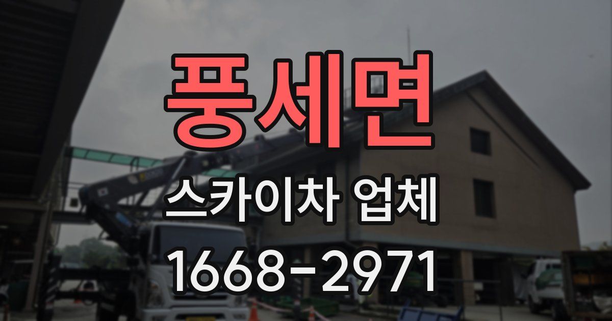 풍세면 스카이차 업체
