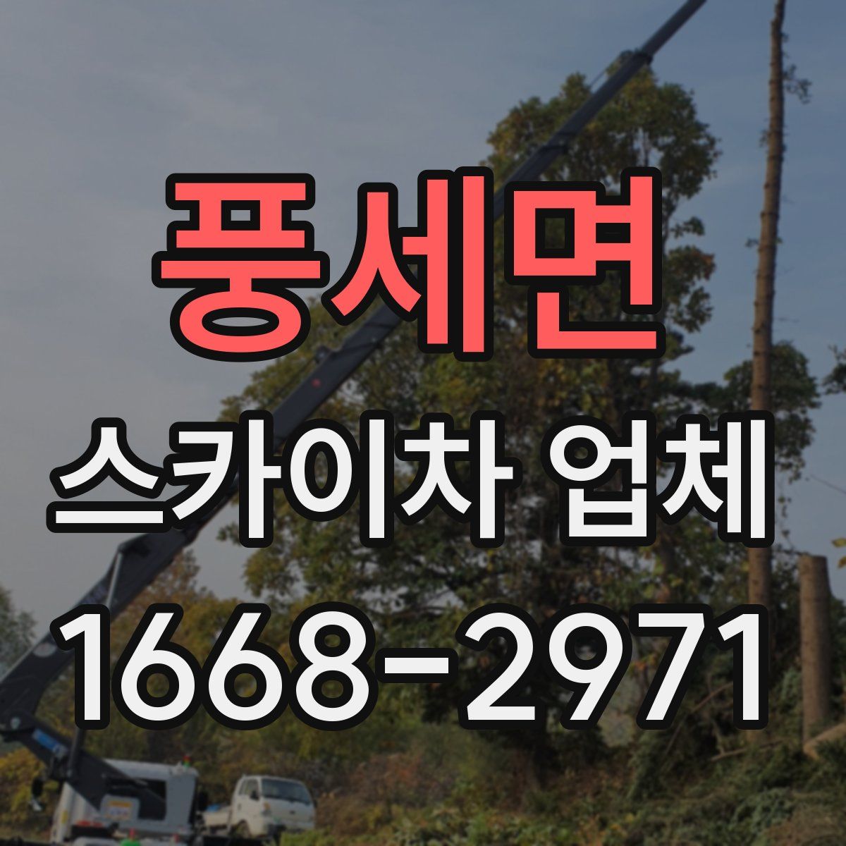 풍세면 스카이차 업체