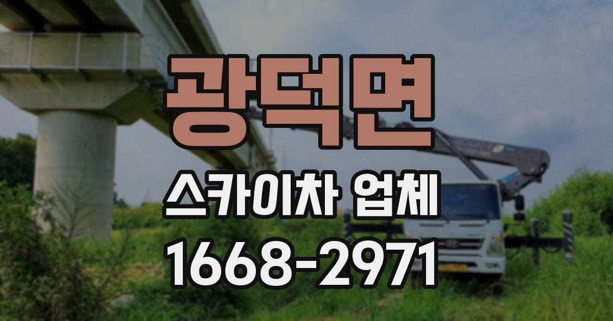 광덕면 스카이차 업체