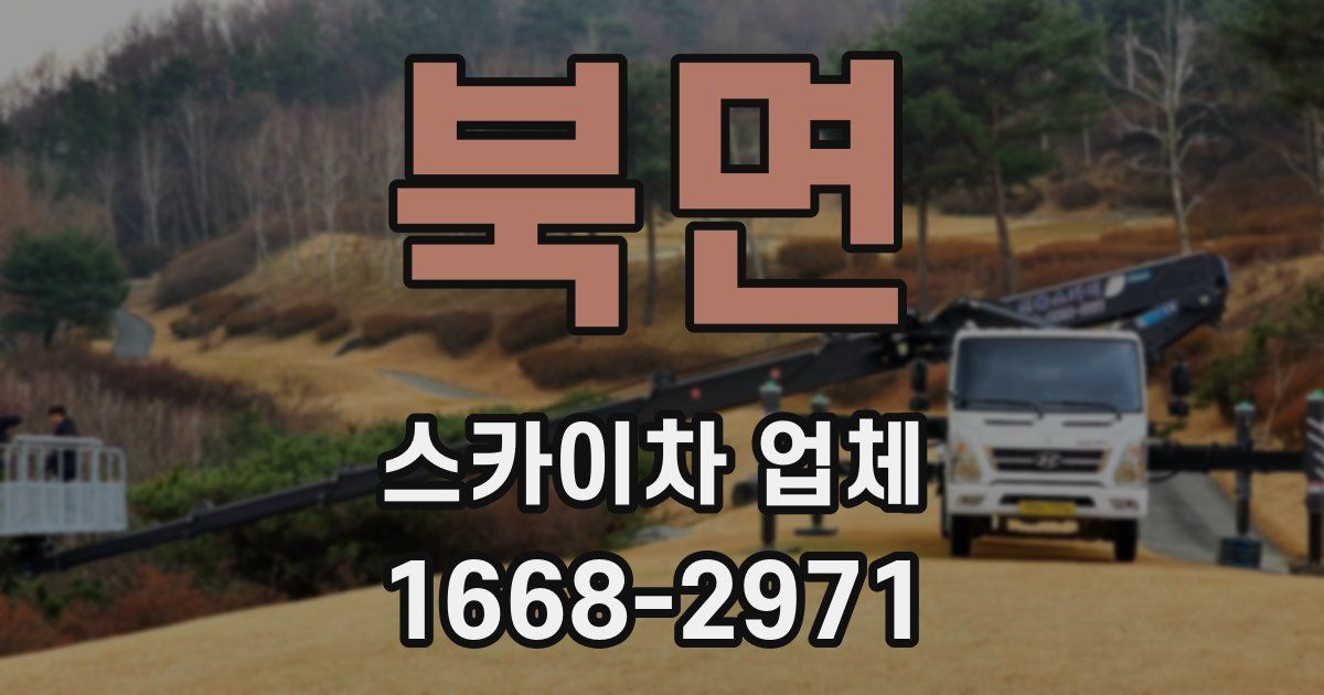 북면 스카이차 업체