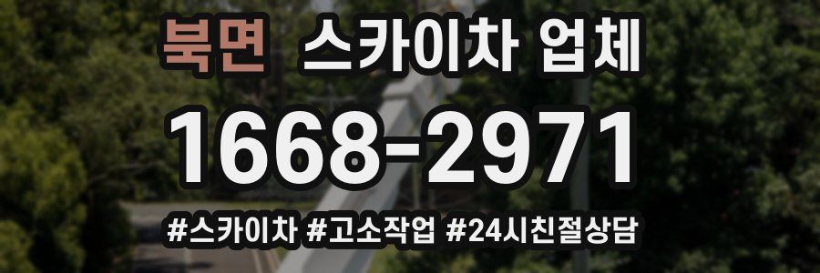 북면 스카이차 업체