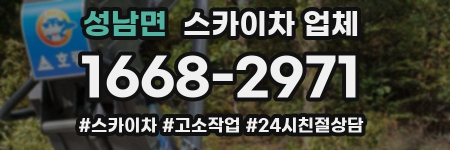 성남면 스카이차 업체