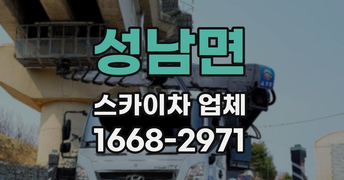 성남면 스카이차 업체