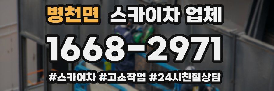 병천면 스카이차 업체