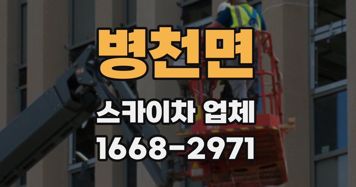 병천면 스카이차 업체