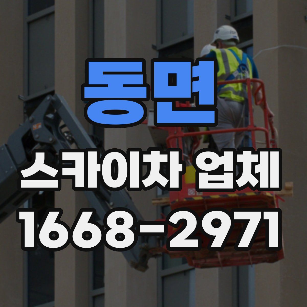 동면 스카이차 업체