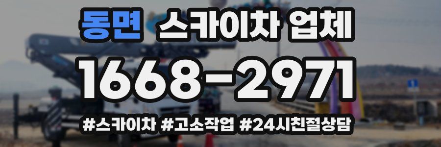 동면 스카이차 업체