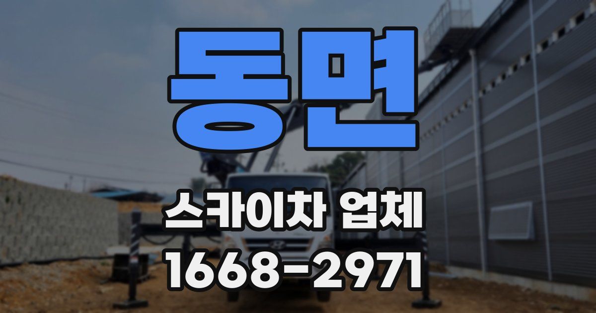 동면 스카이차 업체