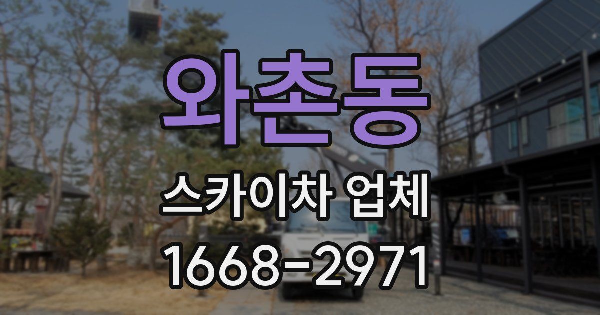 와촌동 스카이차 업체