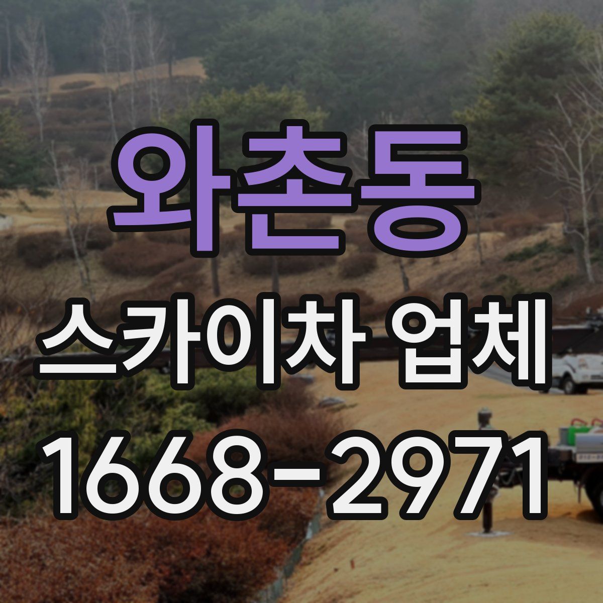 와촌동 스카이차 업체