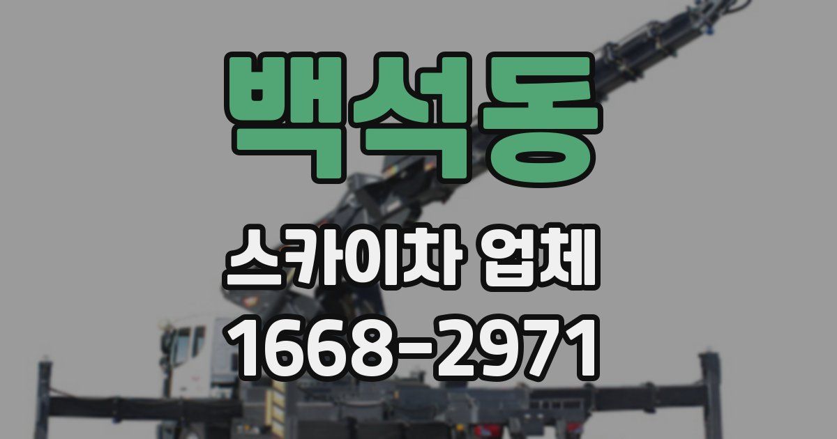 백석동 스카이차 업체
