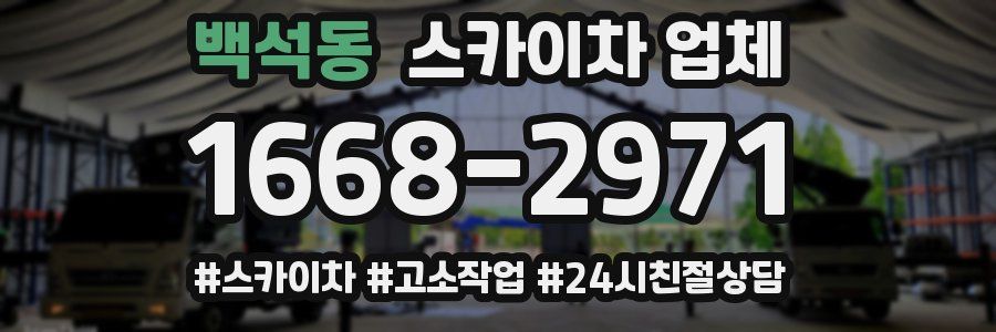 백석동 스카이차 업체