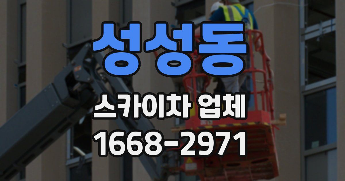 성성동 스카이차 업체