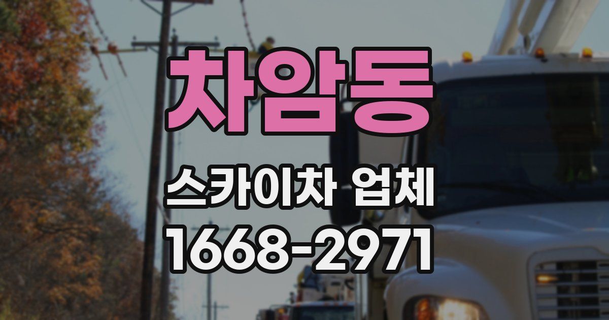 차암동 스카이차 업체