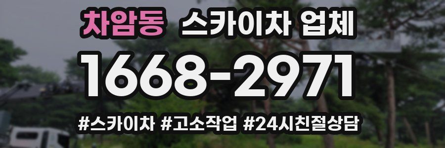 차암동 스카이차 업체