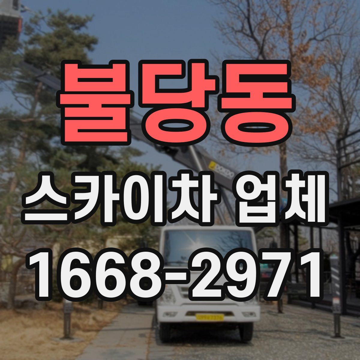 불당동 스카이차 업체
