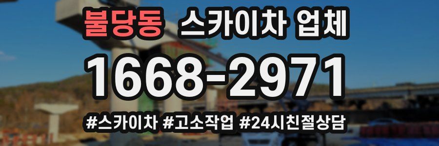 불당동 스카이차 업체
