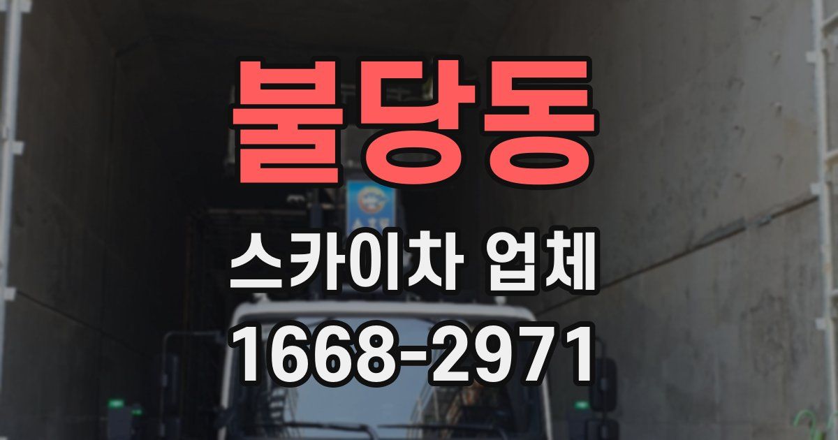 불당동 스카이차 업체