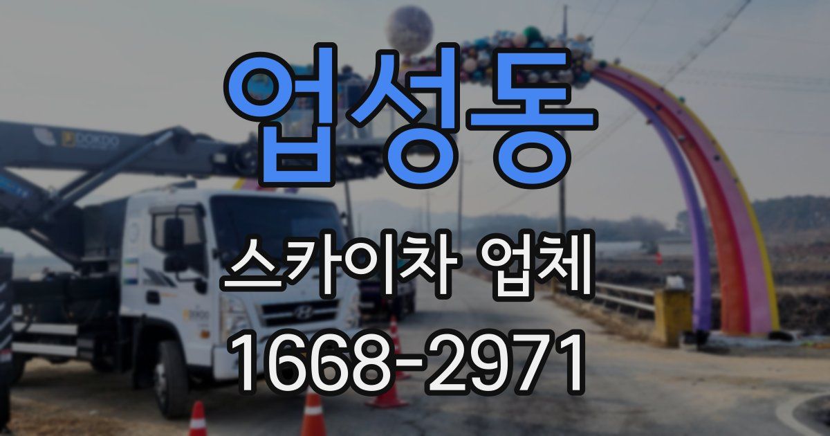 업성동 스카이차 업체