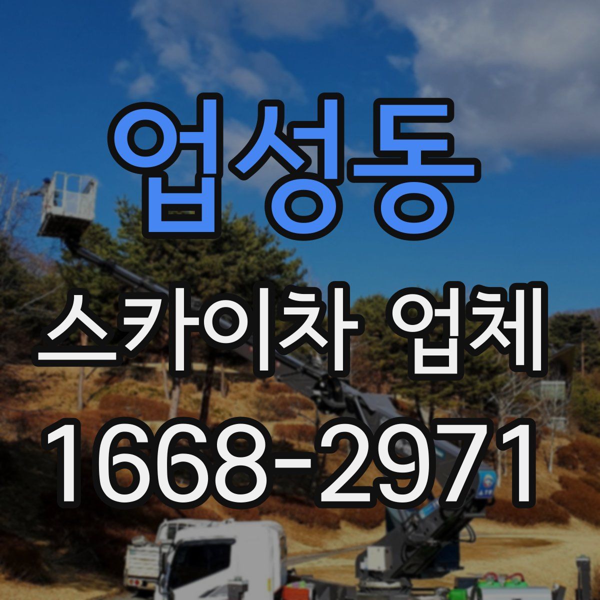 업성동 스카이차 업체