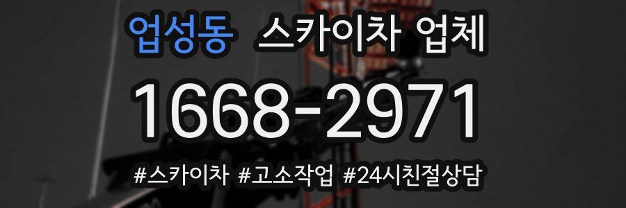 업성동 스카이차 업체