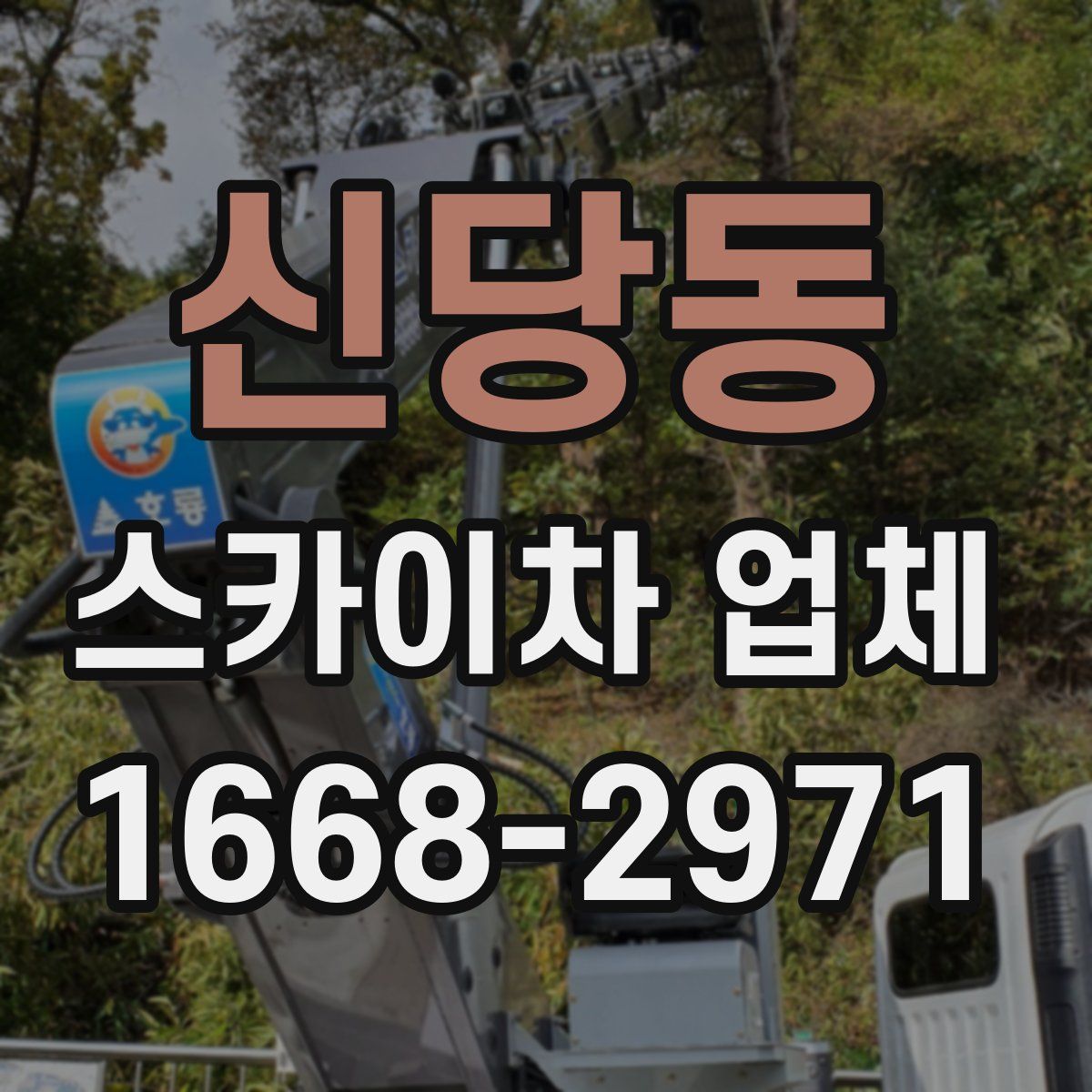 신당동 스카이차 업체