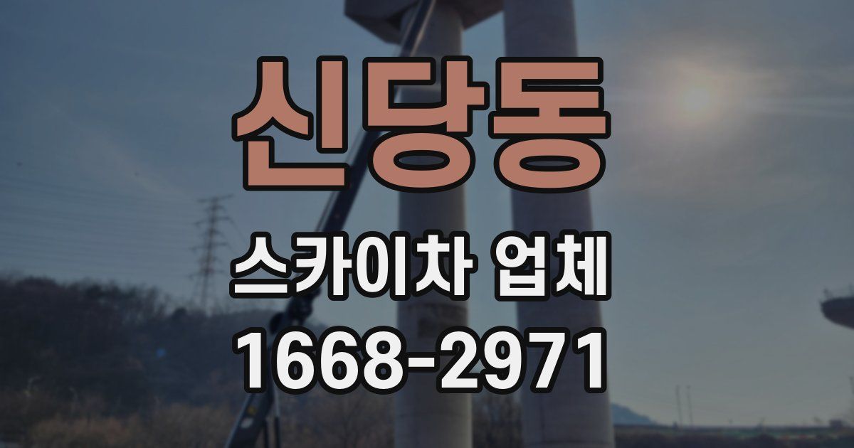 신당동 스카이차 업체
