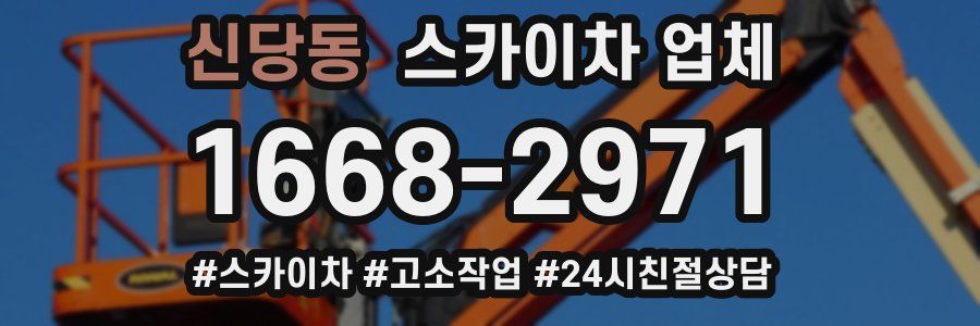 신당동 스카이차 업체