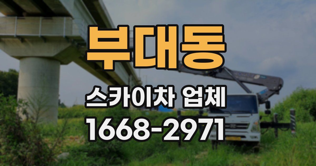 부대동 스카이차 업체