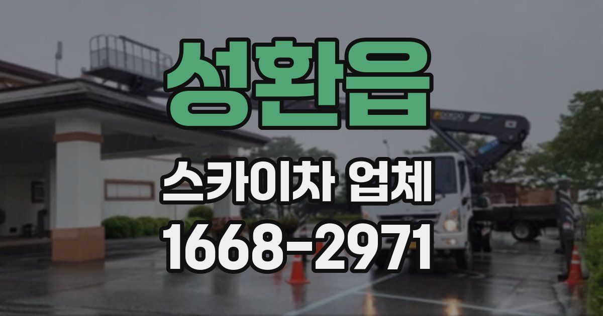 성환읍 스카이차 업체