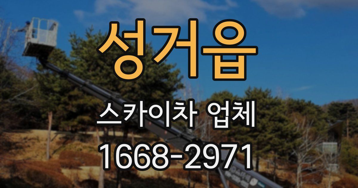 성거읍 스카이차 업체