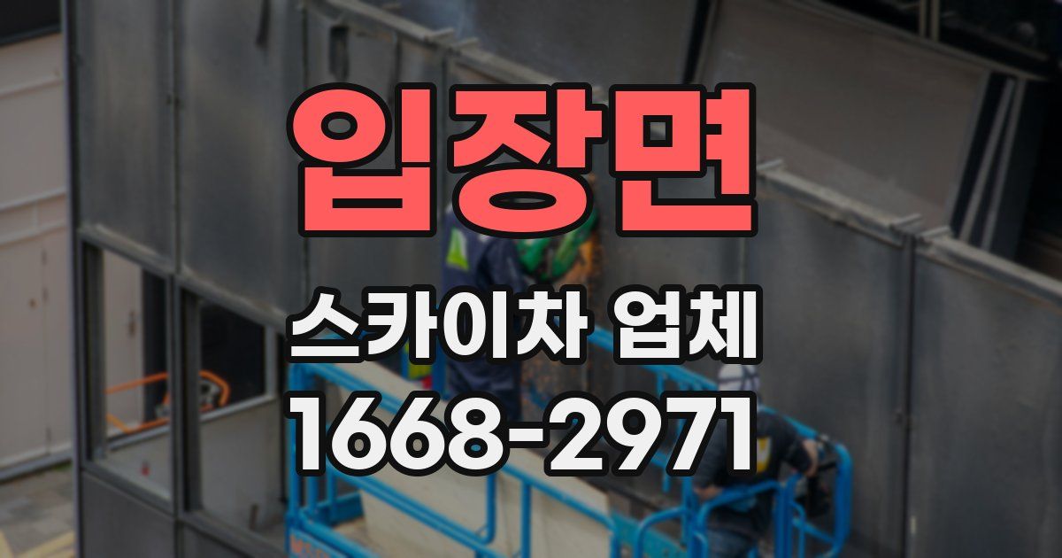 입장면 스카이차 업체