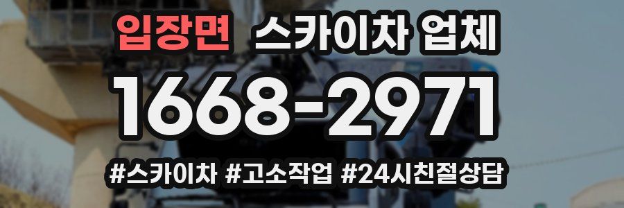 입장면 스카이차 업체