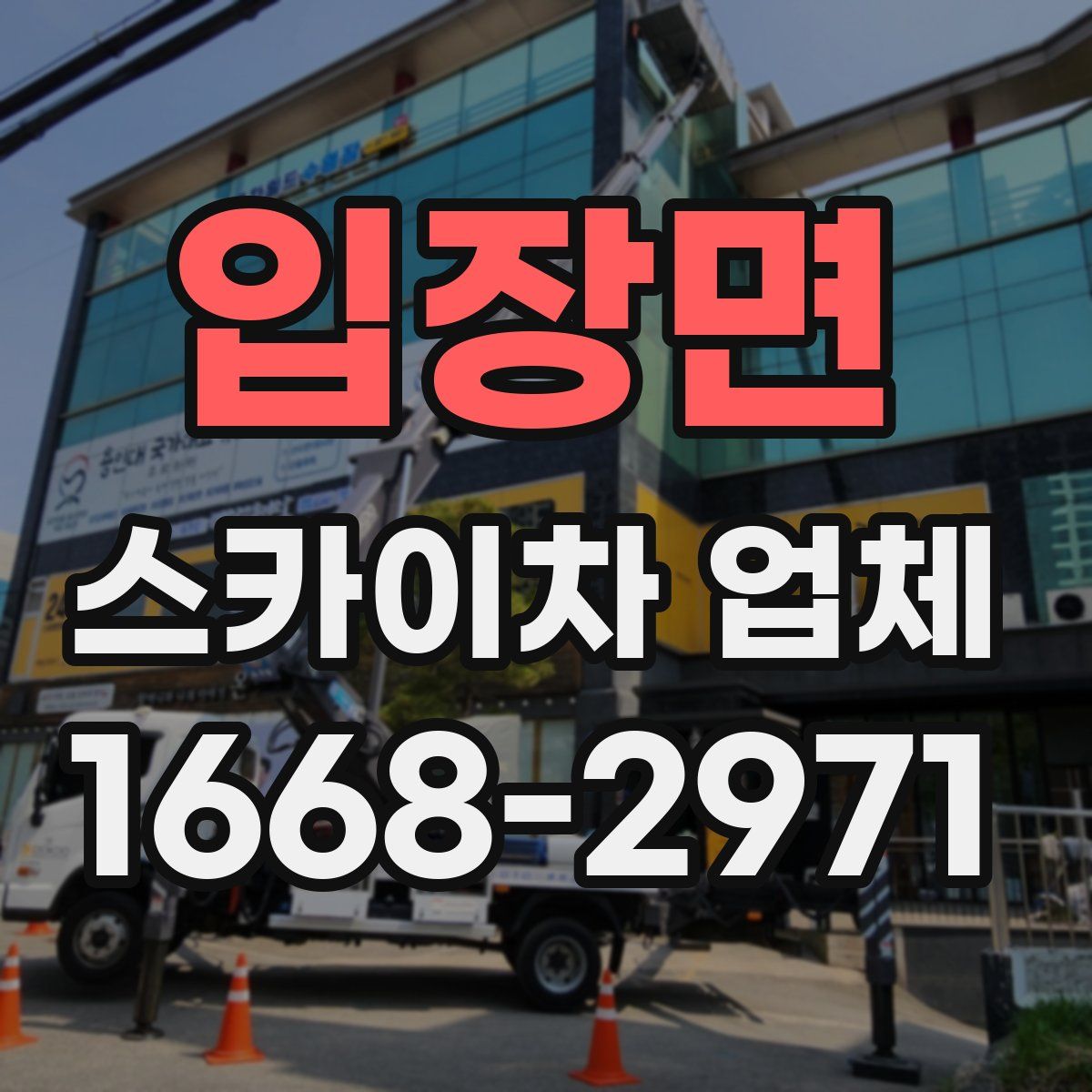 입장면 스카이차 업체