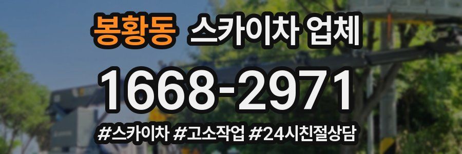 봉황동 스카이차 업체