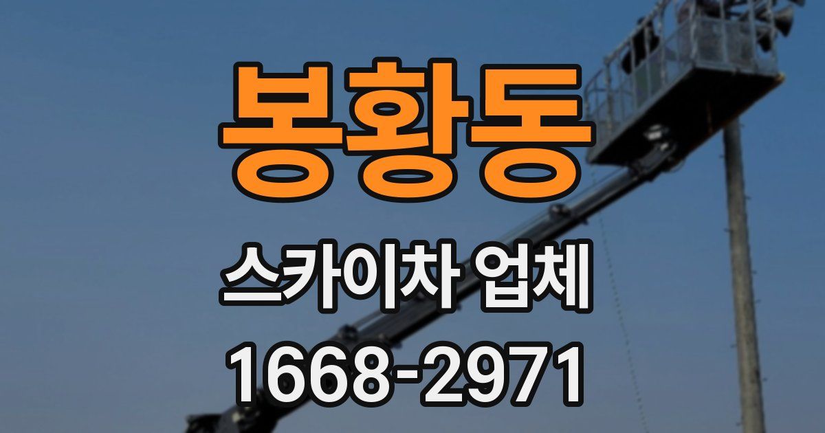 봉황동 스카이차 업체