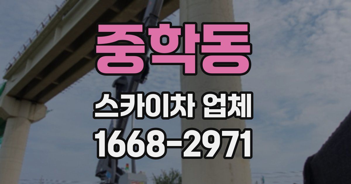 중학동 스카이차 업체