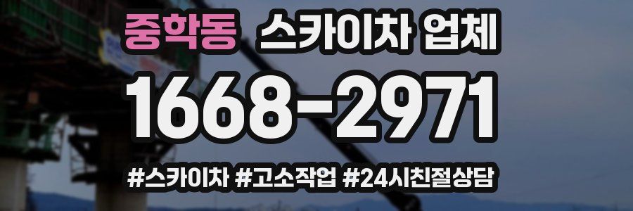 중학동 스카이차 업체