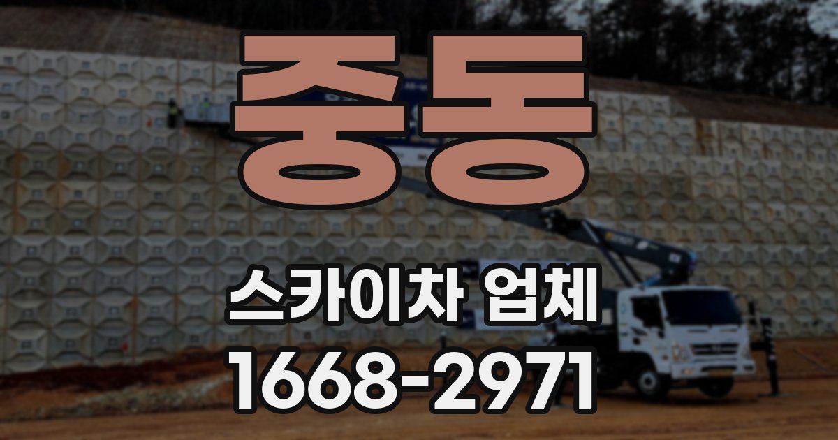 중동 스카이차 업체
