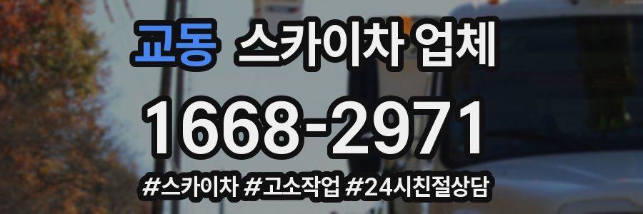 교동 스카이차 업체